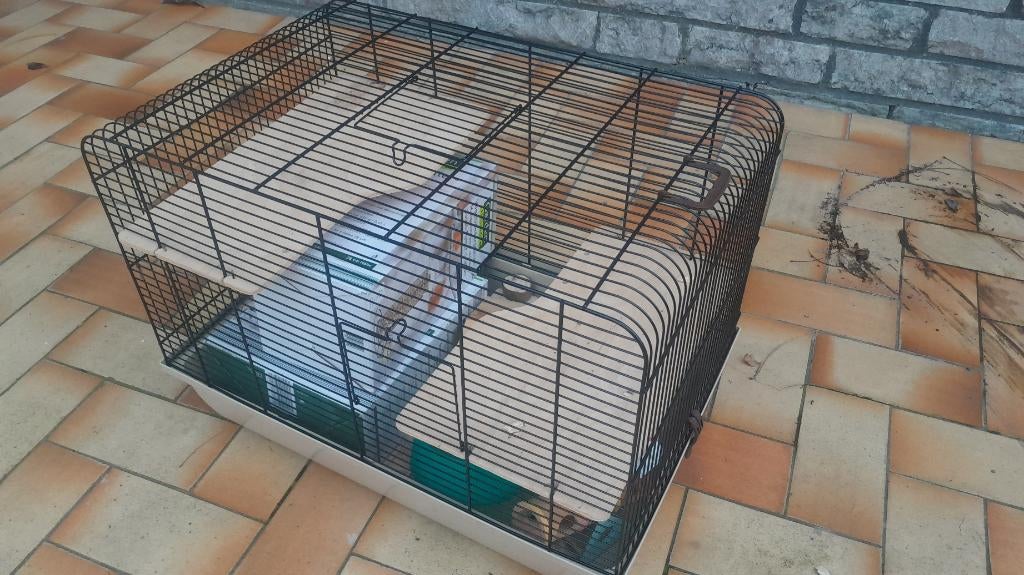 Hok hamster + diversen vogel, kleine hond, Ophalen, Zo goed als nieuw, Hok, Muis