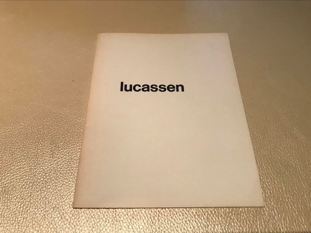 Reinier Lucassen schilderijen 30pag nieuwe visie, Ophalen of Verzenden, Zo goed als nieuw, Schilder- en Tekenkunst
