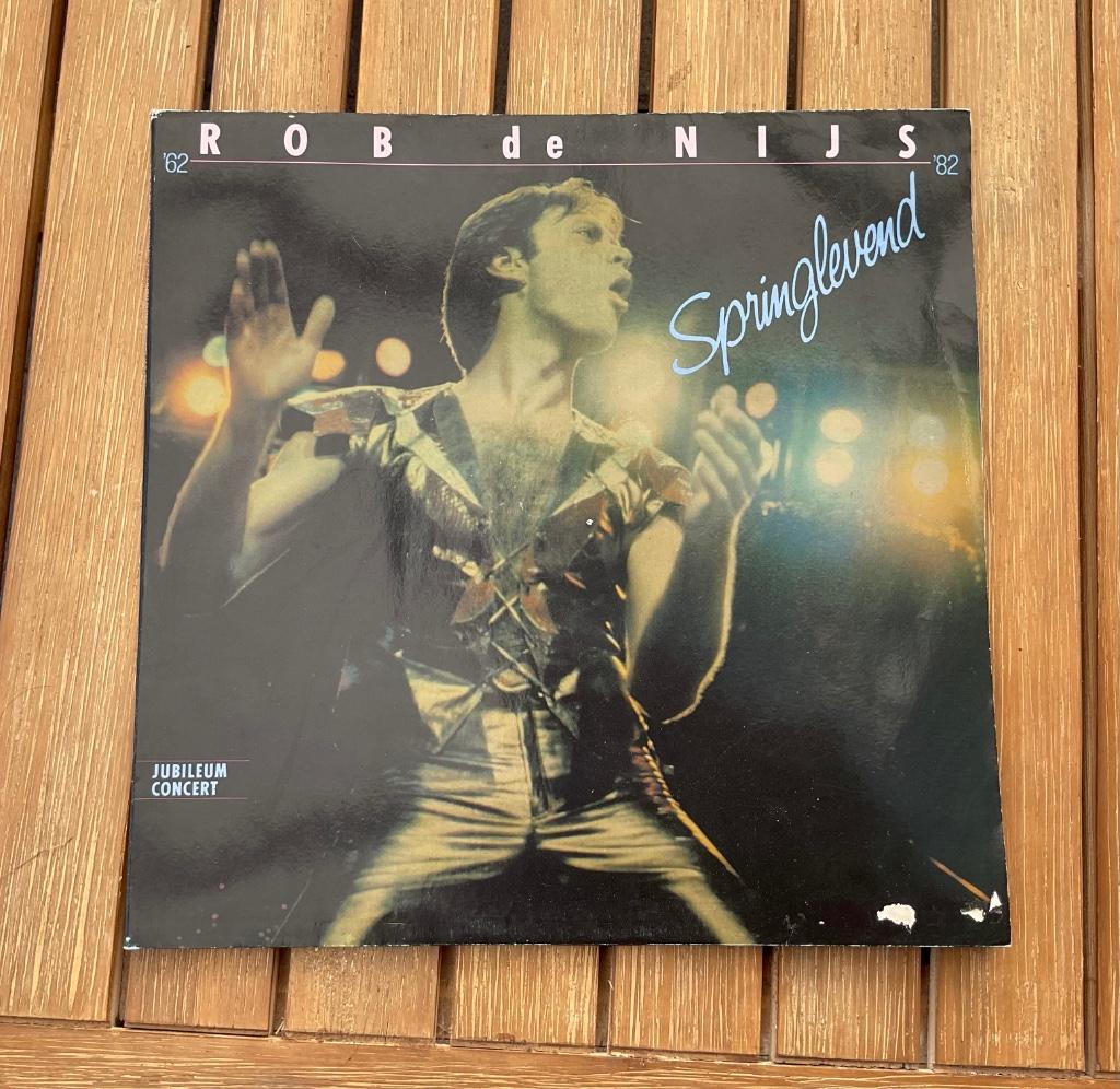 Rod de Nijs, Cd's en Dvd's, Ophalen of Verzenden, Zo goed als nieuw, Levenslied of Smartlap