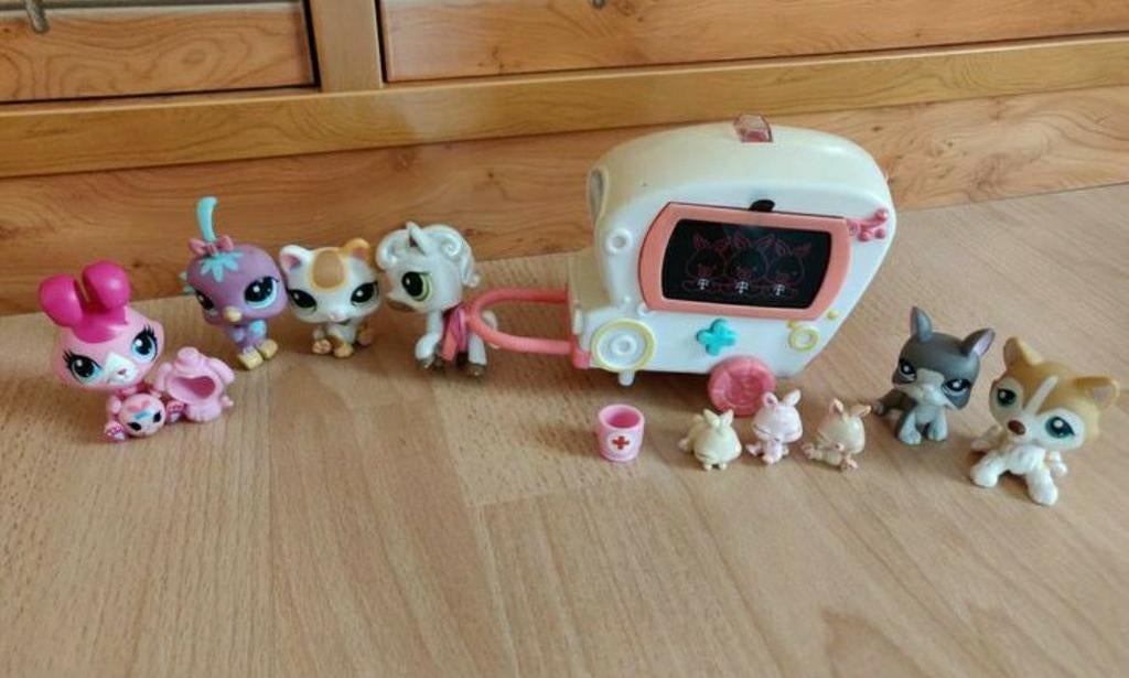 9 pet shop diertjes en werkende ambulance, Ophalen of Verzenden, Zo goed als nieuw