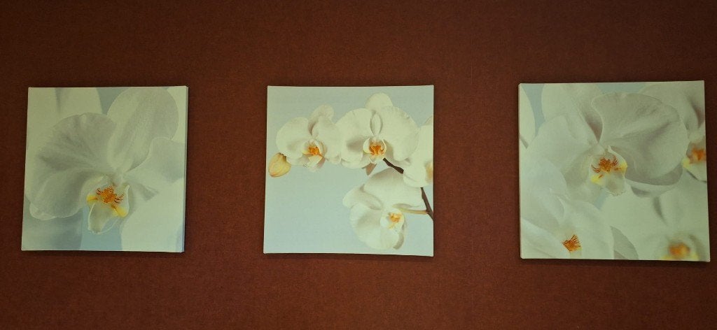 Orchid Frames 3-delige canvasprint, Ophalen, Schilderijlijst, 57 cm, Zo goed als nieuw