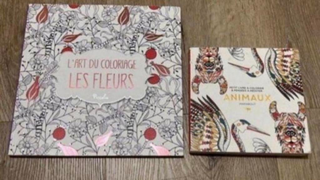 2 livres de coloriage avec deux ou trois pages déjà faites, Enlèvement ou Envoi, Comme neuf