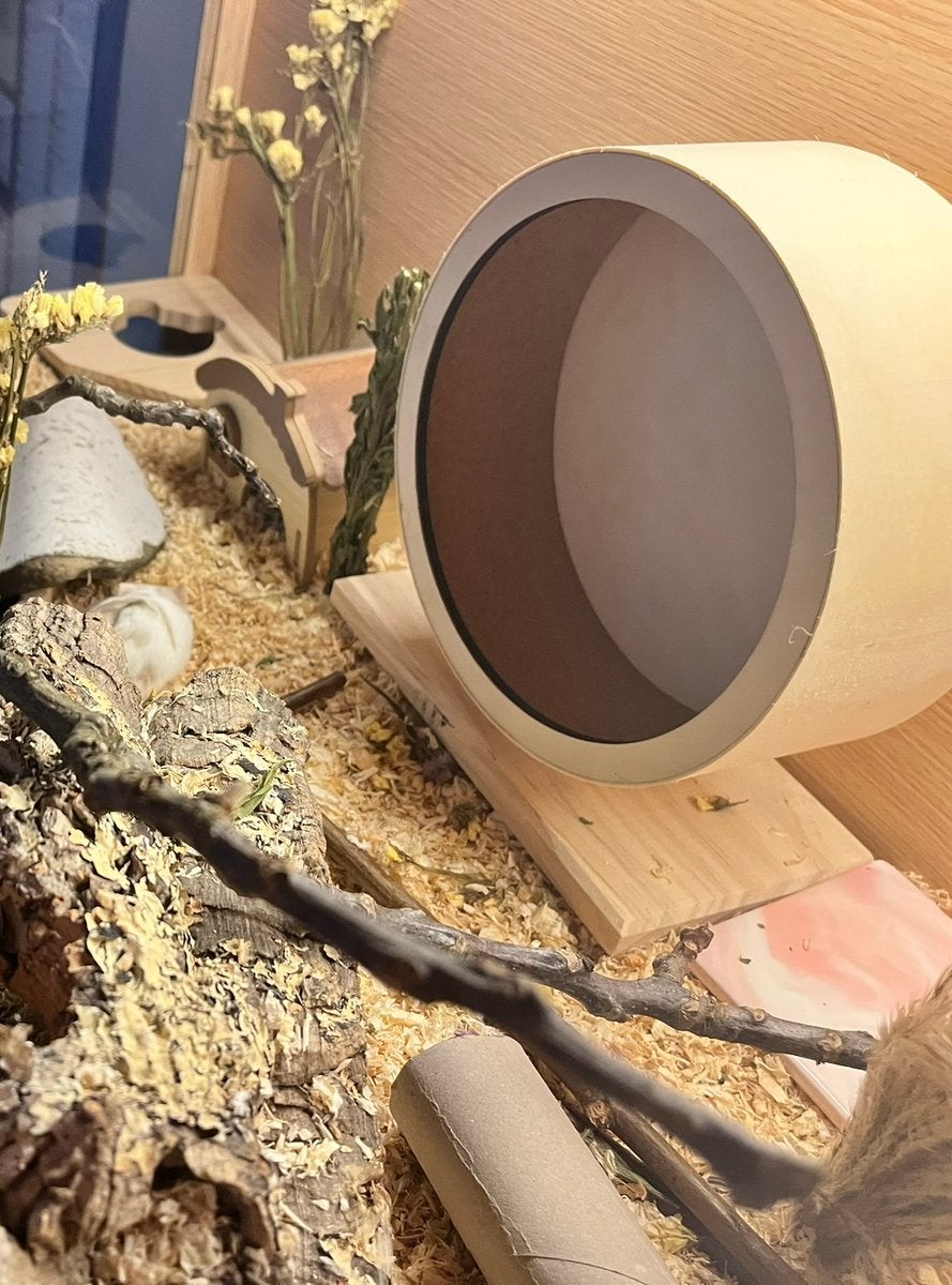 grande roue pour hamster, Animaux & Accessoires, Enlèvement, Roue