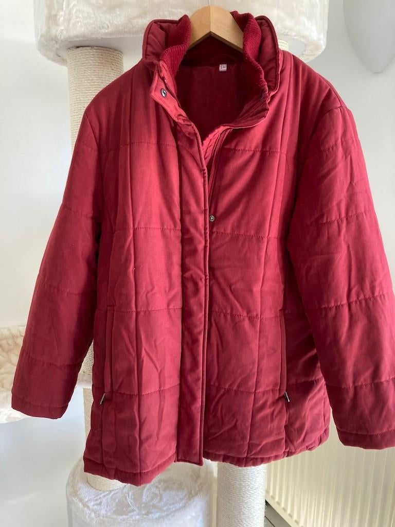 Winterjas voor vrouwen Biaggini, Biaggini, Maat 46/48 (XL) of groter, Ophalen of Verzenden, Gedragen