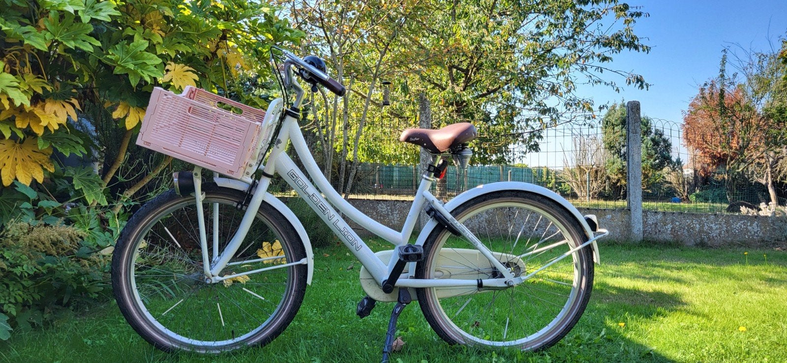 Mooie fiets te koop, Terugtraprem, Gebruikt, Handrem, Ophalen