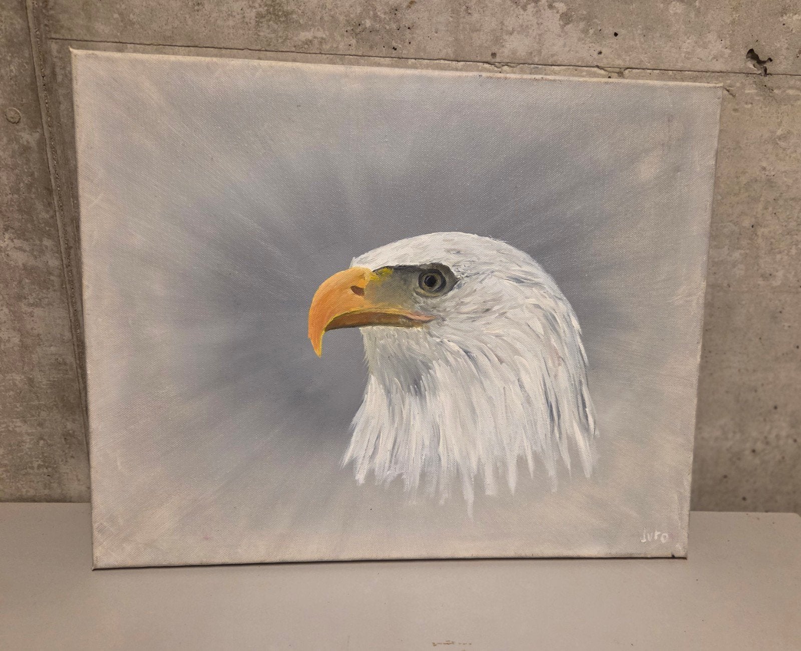 Amerikaanse zeearend op doek, Antiek en Kunst, Ophalen