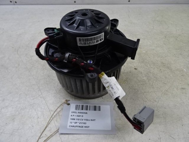 KACHELMOTOR Opel Insignia (01-2008/03-2017) (13263279), Gebruikt, Opel