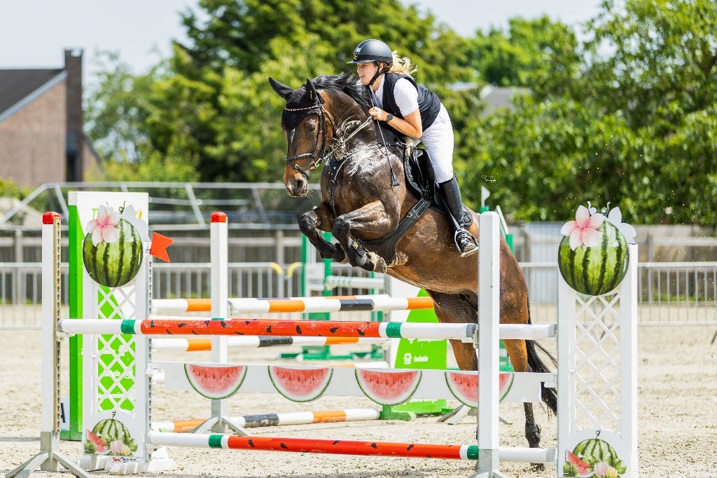 9 jarige merrie, Avec pedigree, L, 160 à 165 cm, Cheval de saut