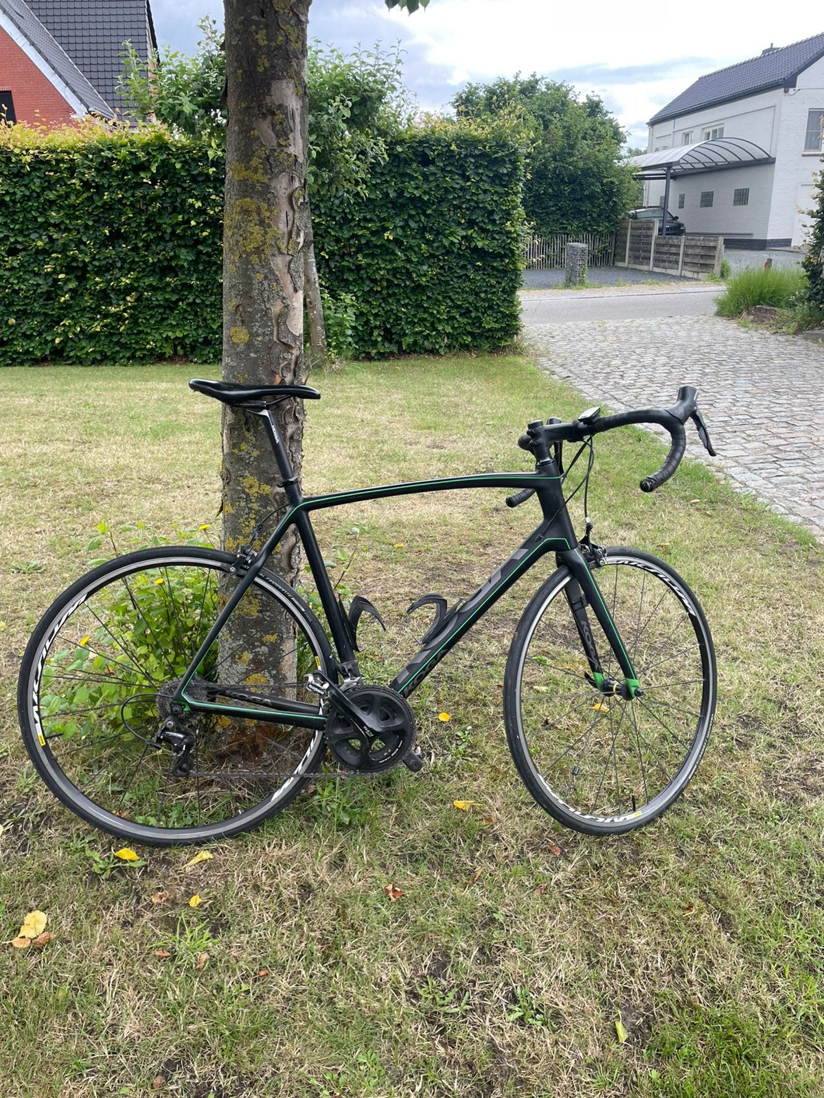 Koga koersfiets, 26 pouces, Frein sur jante, 57 à 61 cm, Enlèvement