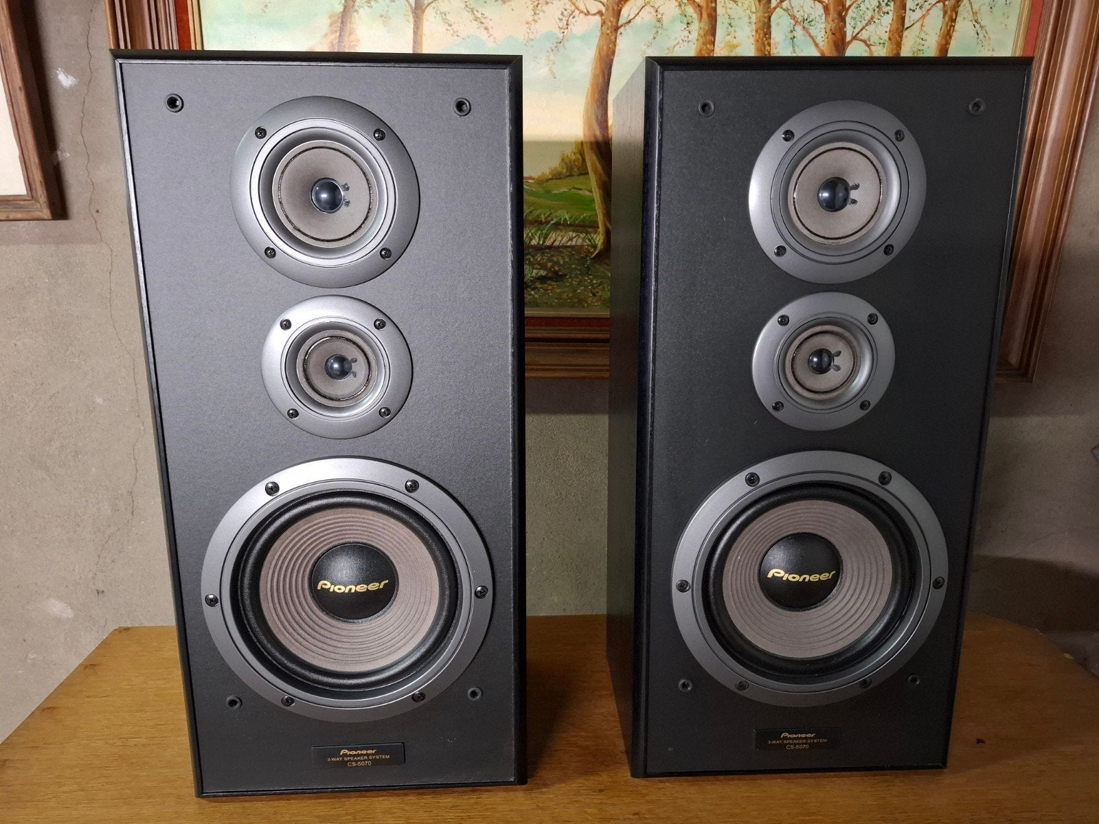 prachtige luidsprekers pioneer cs 5070 koopje, Audio, Tv en Foto, Ophalen, Pioneer