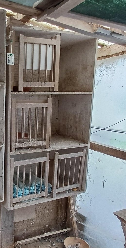 Kweekbak, Enlèvement, Utilisé, Bois, Cage d'élevage