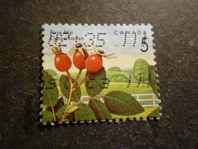Canada 1992 Mi 1310(o) Gestempeld/Oblitéré, Envoi