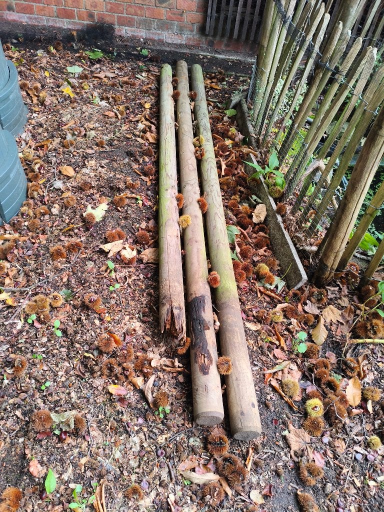 Houten balken, Doe-het-zelf en Bouw, Ophalen, Gebruikt, 25 tot 50 mm, 200 tot 250 cm