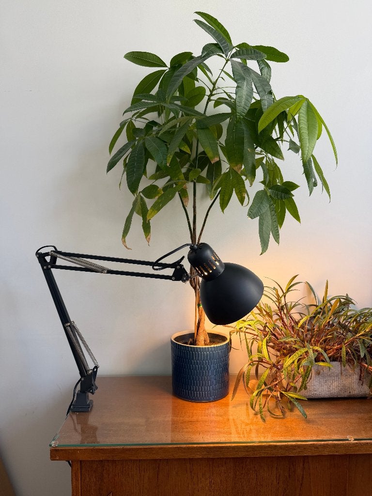 Lampe de bureau TERTIAL, Ophalen, Bureaulamp, Zo goed als nieuw, Grijs