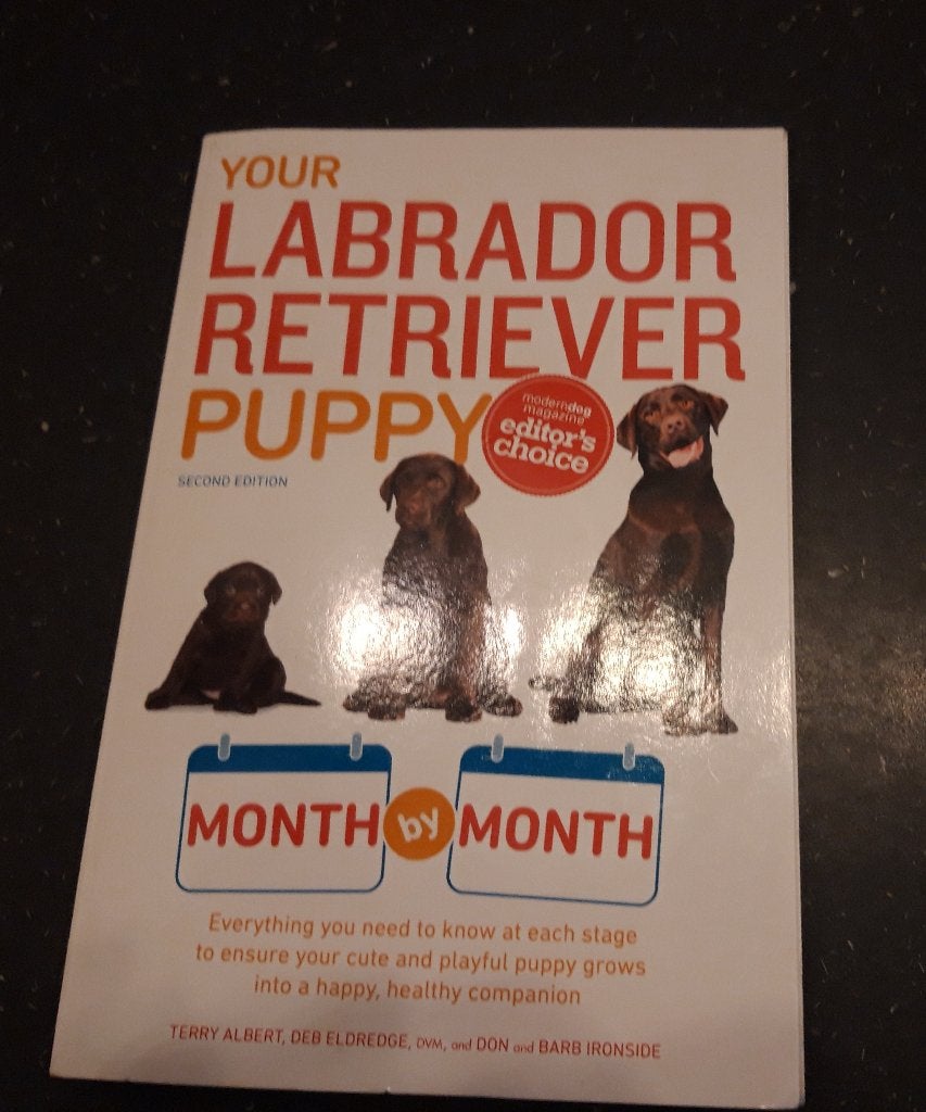 Boek - Your Labrador Retriever Puppy Month by Month, Boeken, Ophalen of Verzenden, Gelezen, Terry Albert - Debra Eldredge