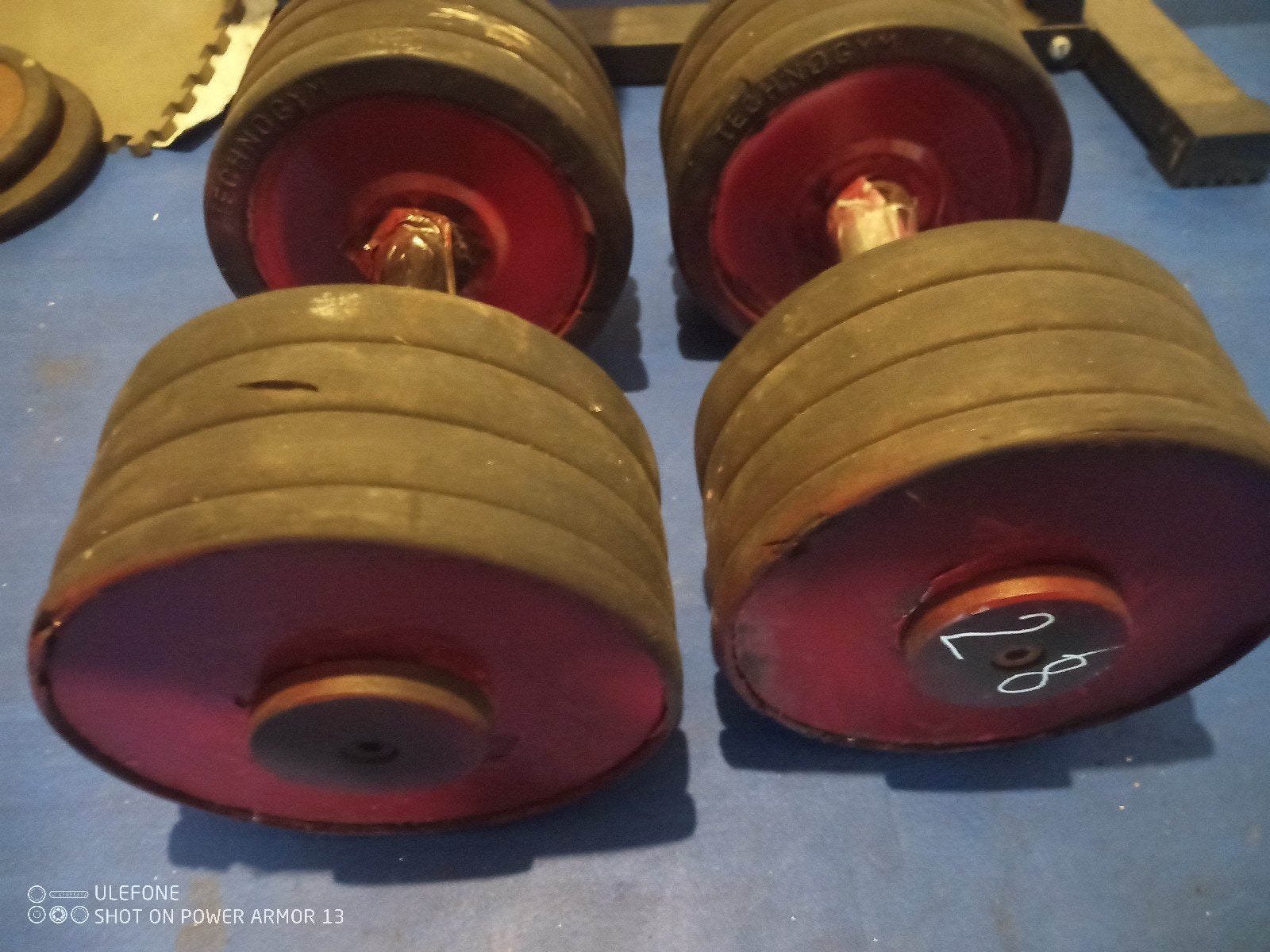 technogym dumbells 28kg, Sports & Fitness, Enlèvement