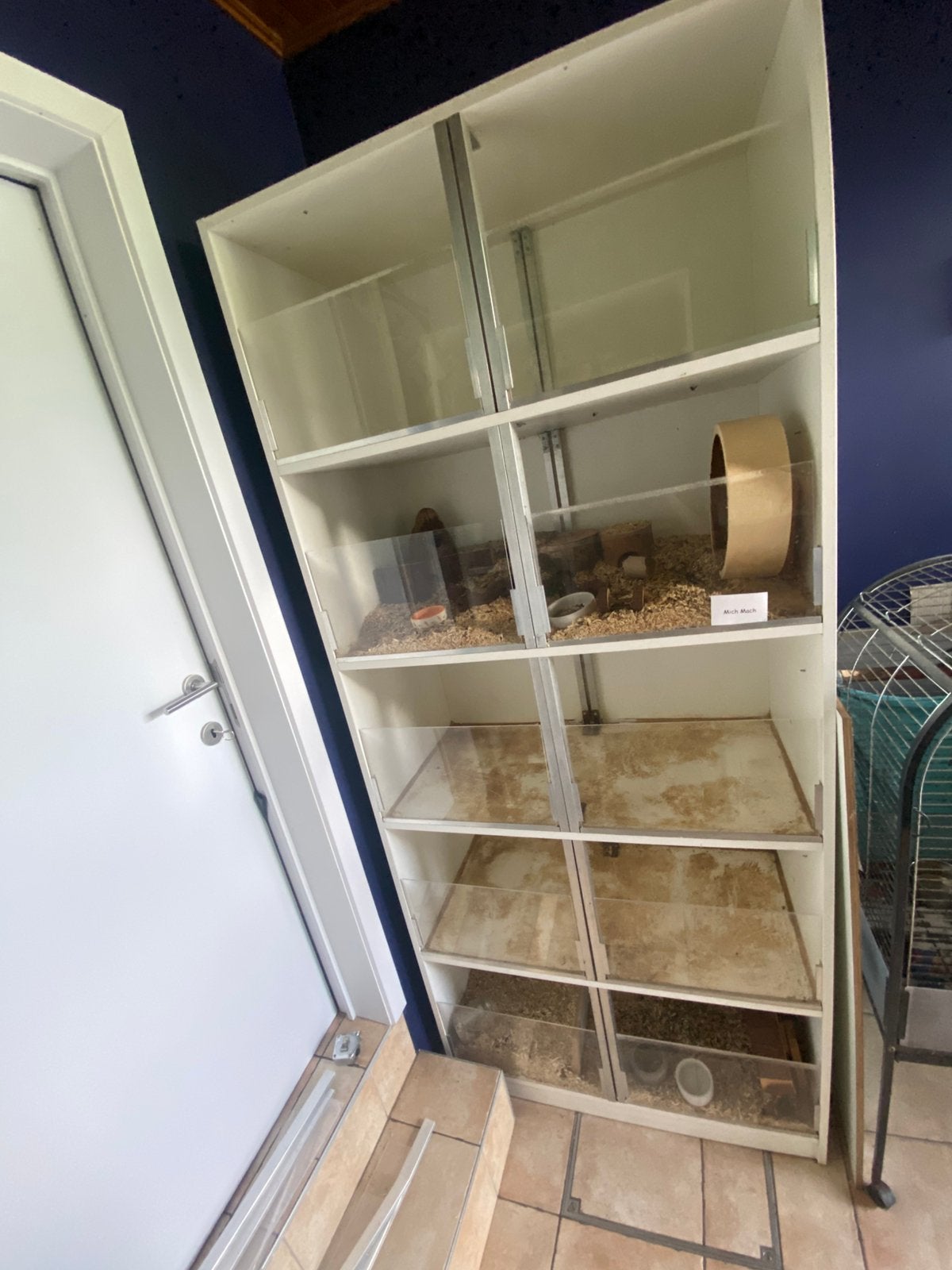 GRATIS GRATIS CAVIA /  HAMSTERFLAT, Ophalen, Zo goed als nieuw