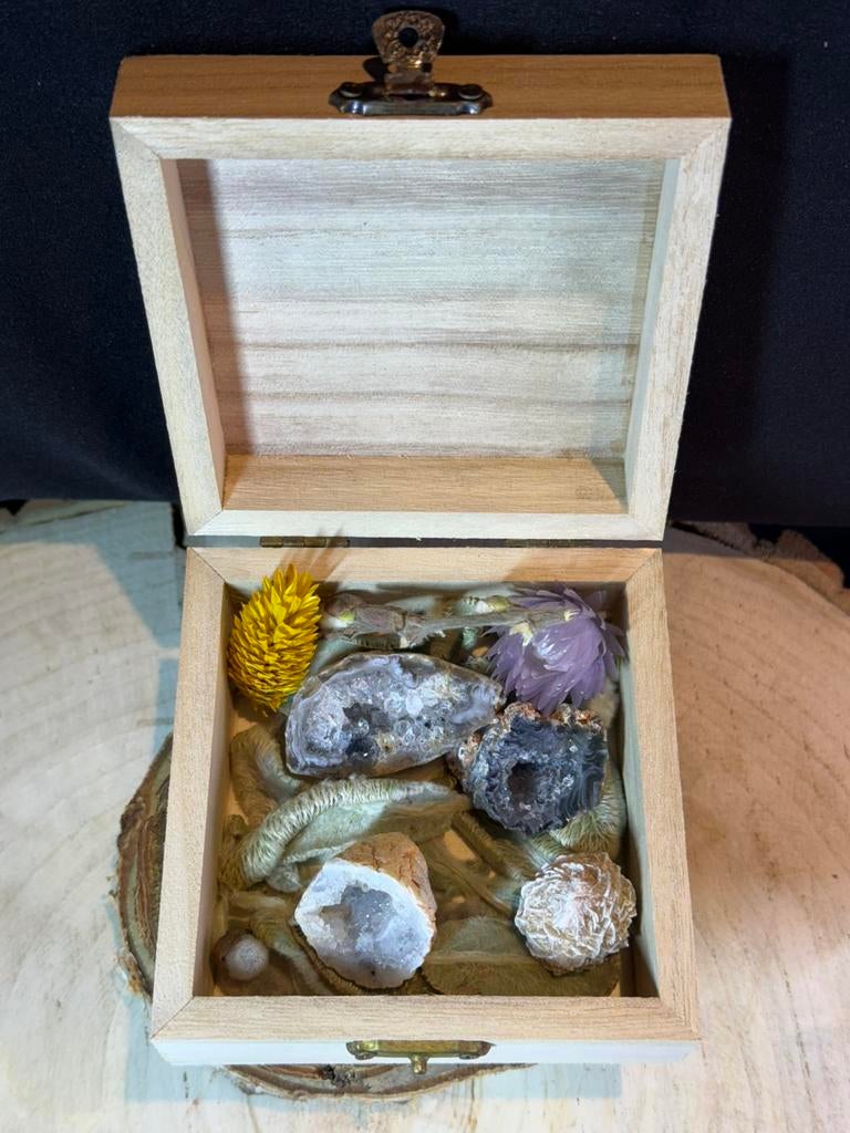 Mineralen doosje met geodes en woestijnroos, Ophalen of Verzenden, Mineraal