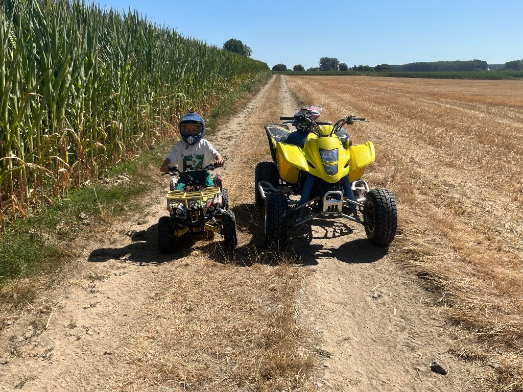 Suzuki ltz 400, Motoren, 400 cc, 11 kW of minder, 1 cilinder