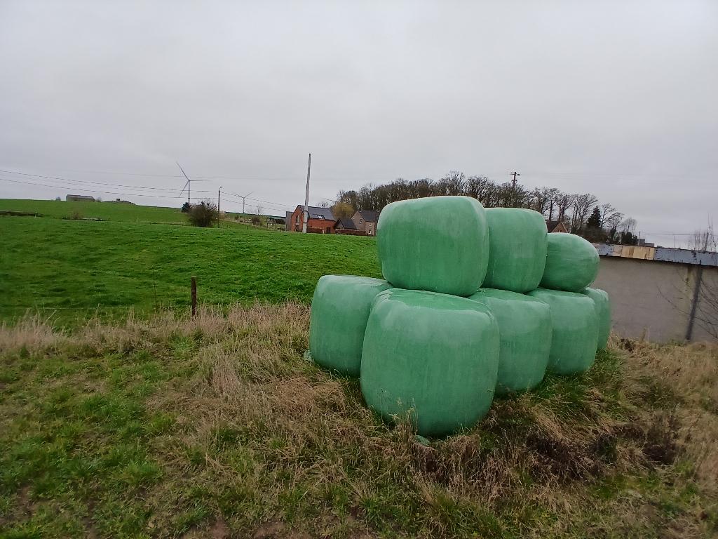45€/ballots de 375 kg de foin sec de prairie non traitée., Articles professionnels, Enlèvement