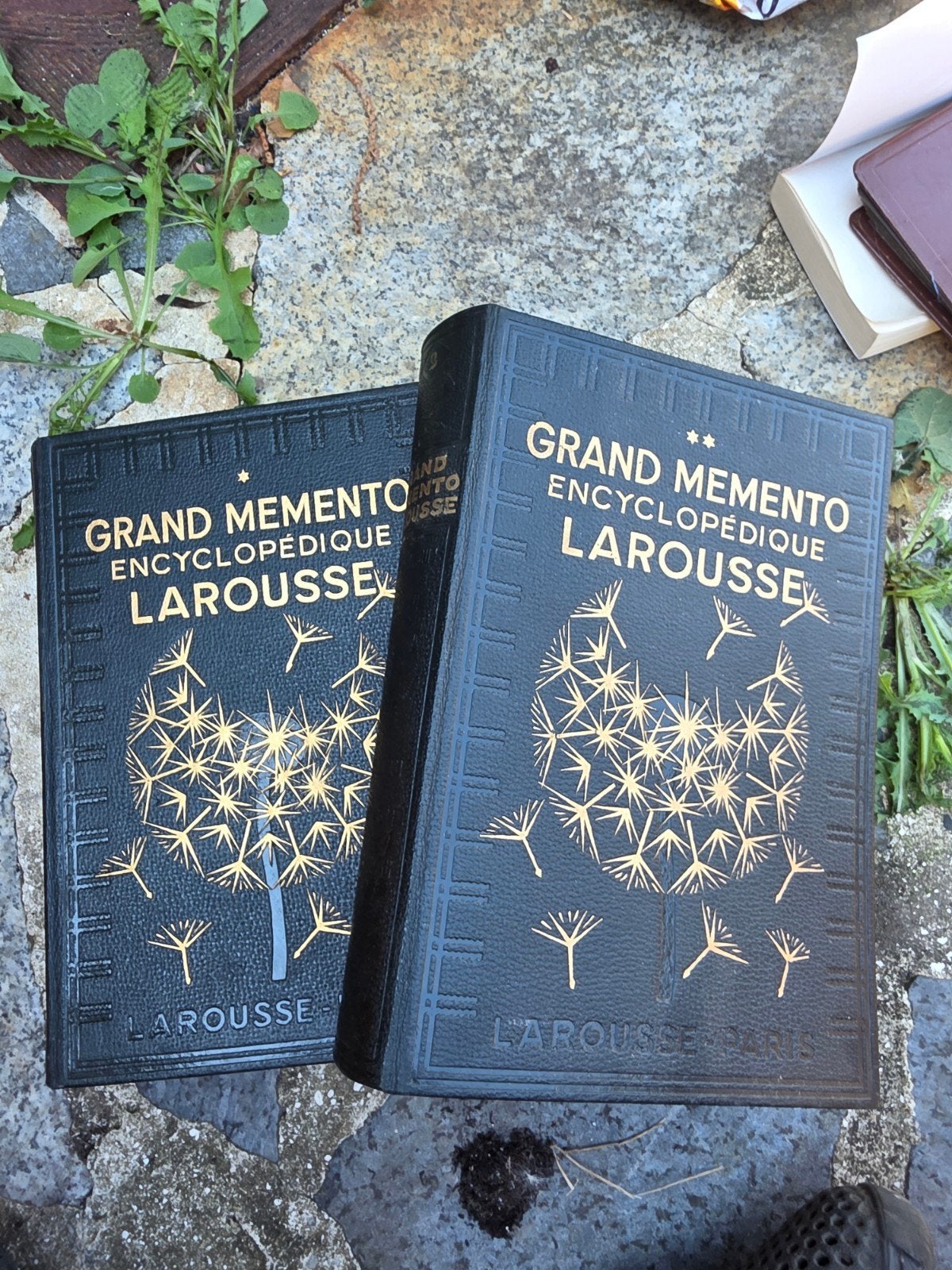 Livre grand mémento larousse, Antiquités & Art