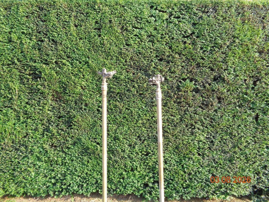 WATERSPROIEERS, Jardin & Terrasse, Arroseurs de jardin, Enlèvement, Utilisé, Autres types
