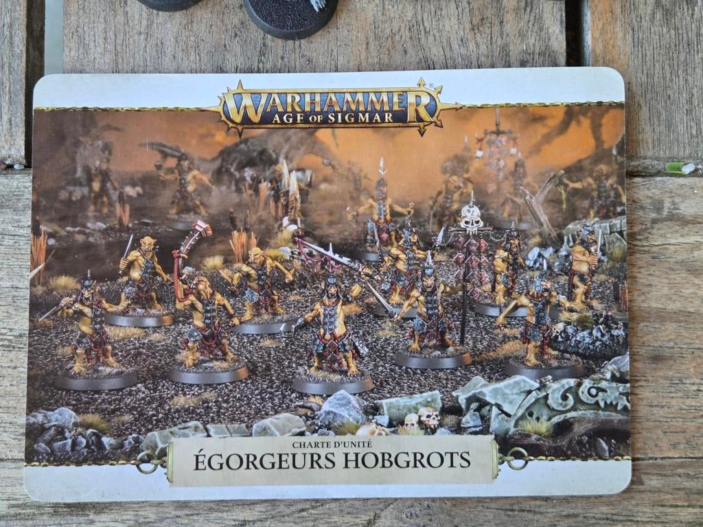 ORRUK WARCLANS: HOBGROT SLITTAS, Ophalen of Verzenden, Warhammer, Geverfd