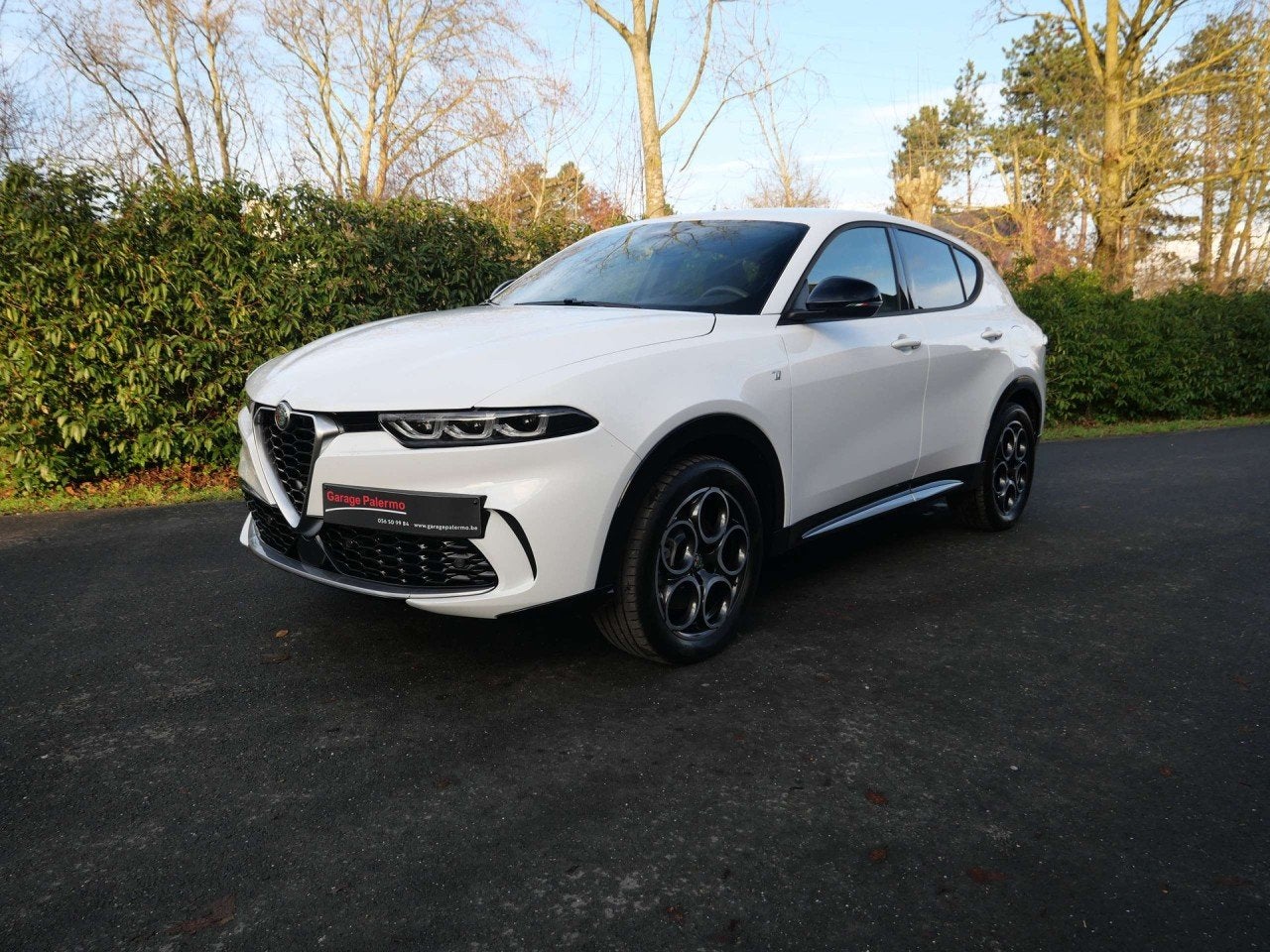 Alfa Romeo Tonale Plug-In-Hybrid Q4 Ti, GARANTIE TOT 48STE M, Autos, Alfa Romeo, 1332 cm³, Achat, Entreprise, Automatique