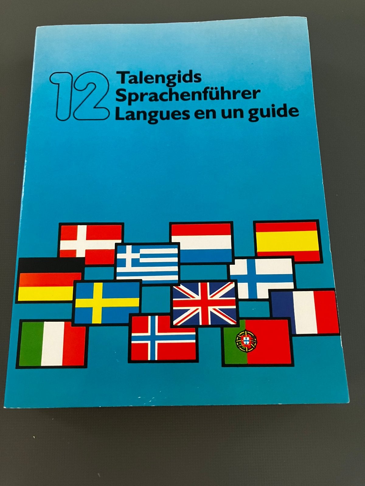 12-Talen gids., Livres, Enlèvement ou Envoi, Comme neuf