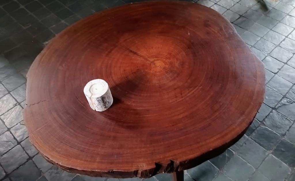 Massieve boomstam salontafel Ø120 cm – uniek stuk, Ophalen of Verzenden