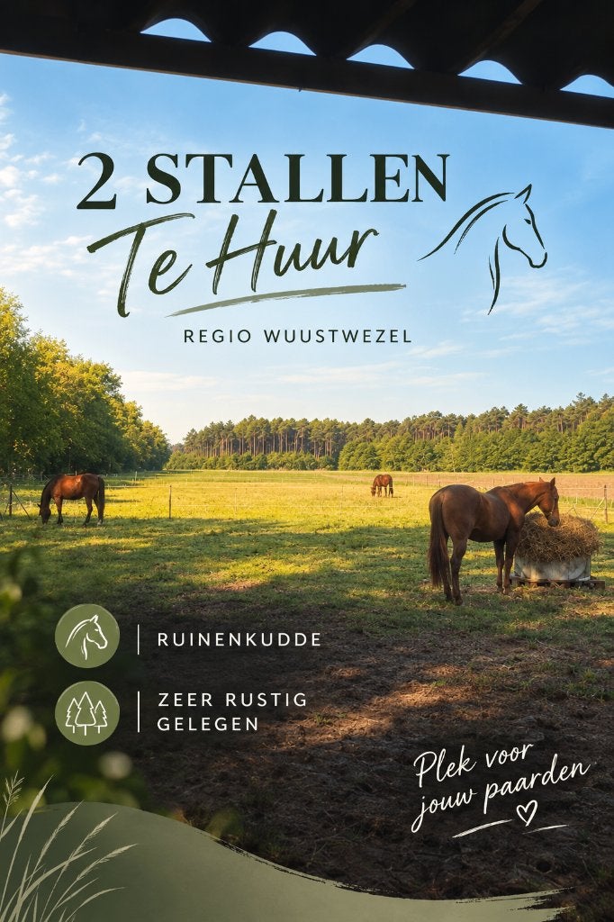 Stal met weidegang te huur, Weidegang, 2 of 3 paarden of pony's