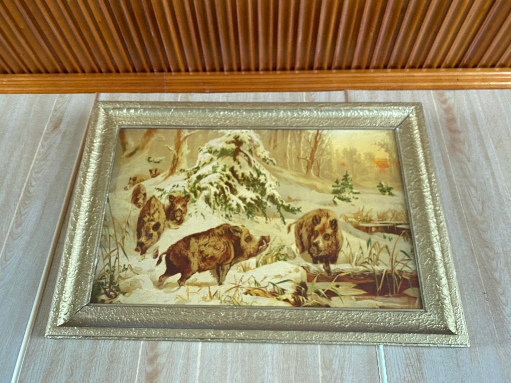 KADERS WILDE DIEREN, Ophalen, Nieuw, Overige diersoorten