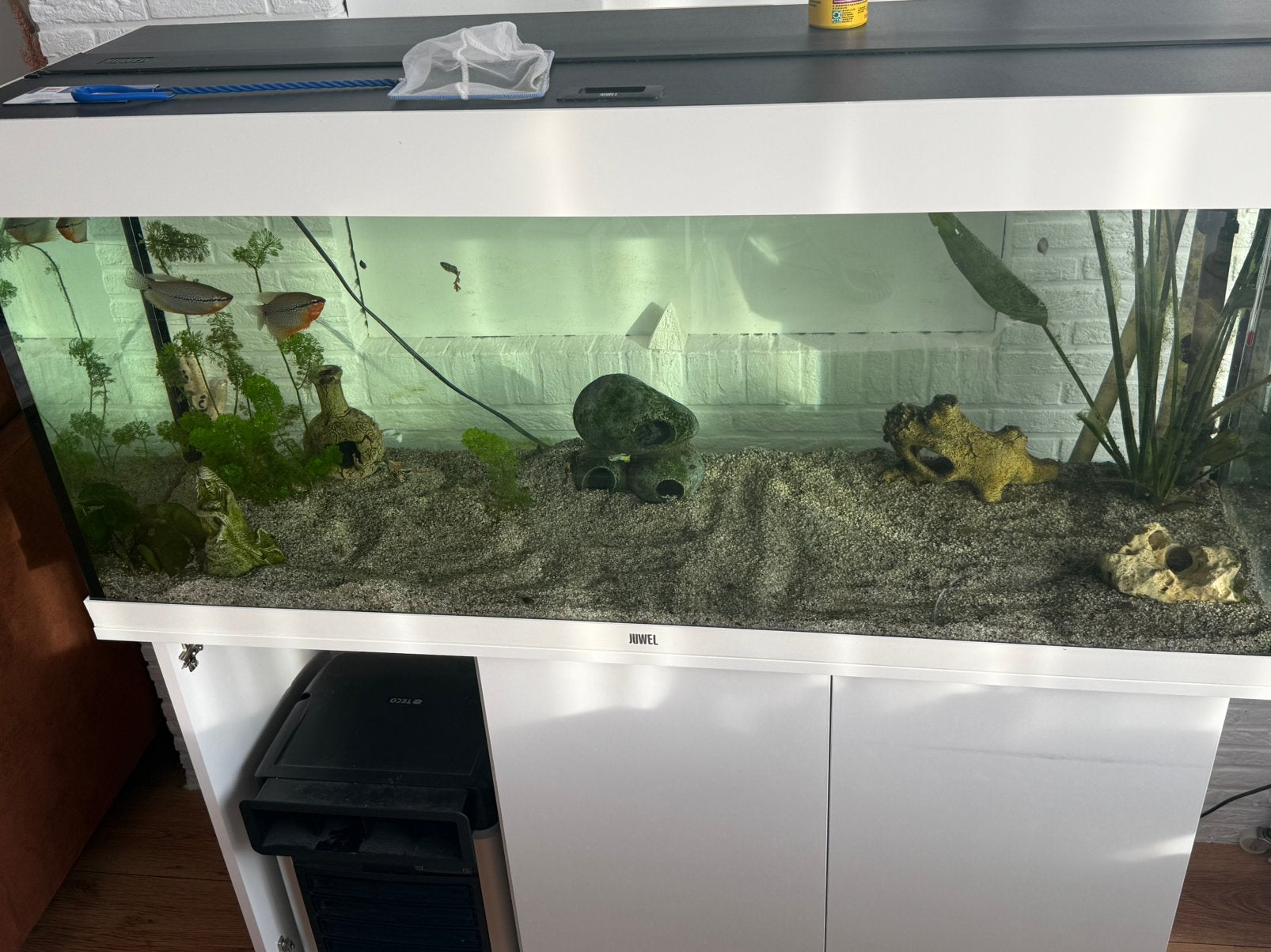 Aquarium + filter + koeler, Ophalen, Zo goed als nieuw, Filter, Juwel
