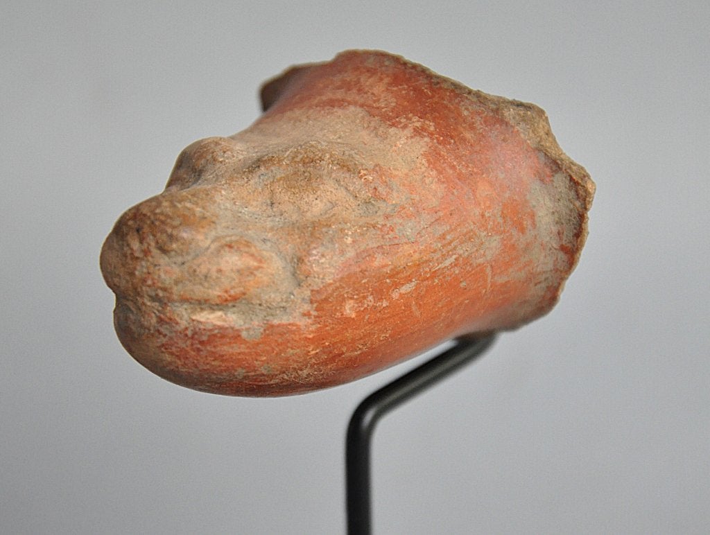 Colima, fragment de pot, VIIIe siècle après J.-C., Mexique, Antiquités & Art, Enlèvement ou Envoi