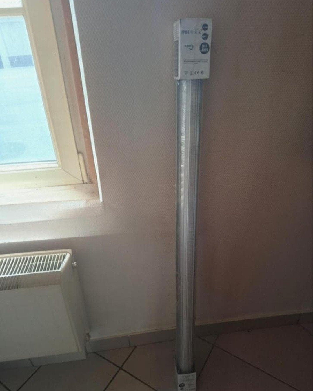 Néon, Bricolage & Construction, Enlèvement