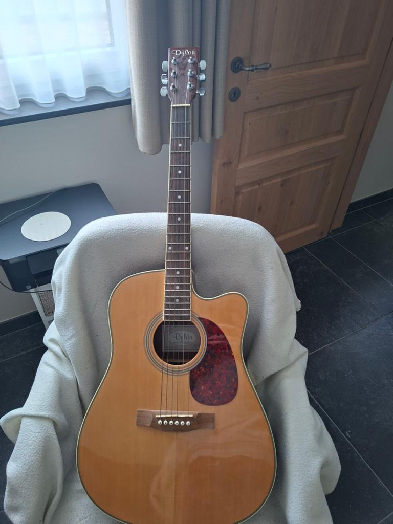 Semi akoestische gitaar dylon amper op gespeeld, Ophalen