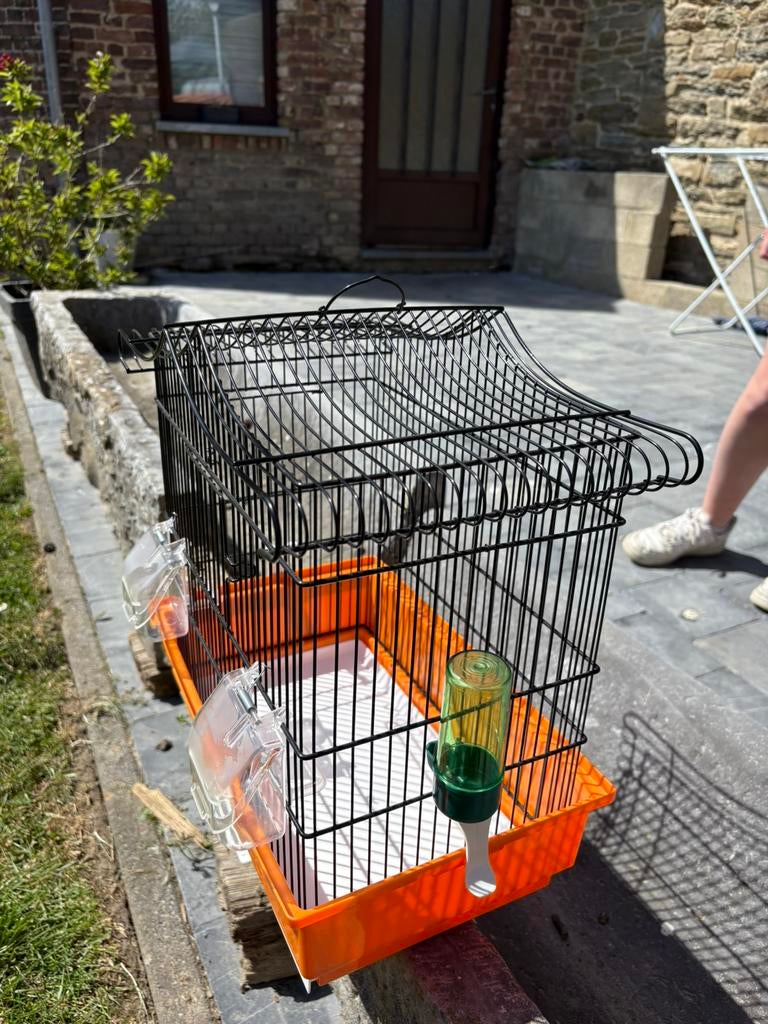 Cage à oiseaux, Enlèvement, Comme neuf, Cage