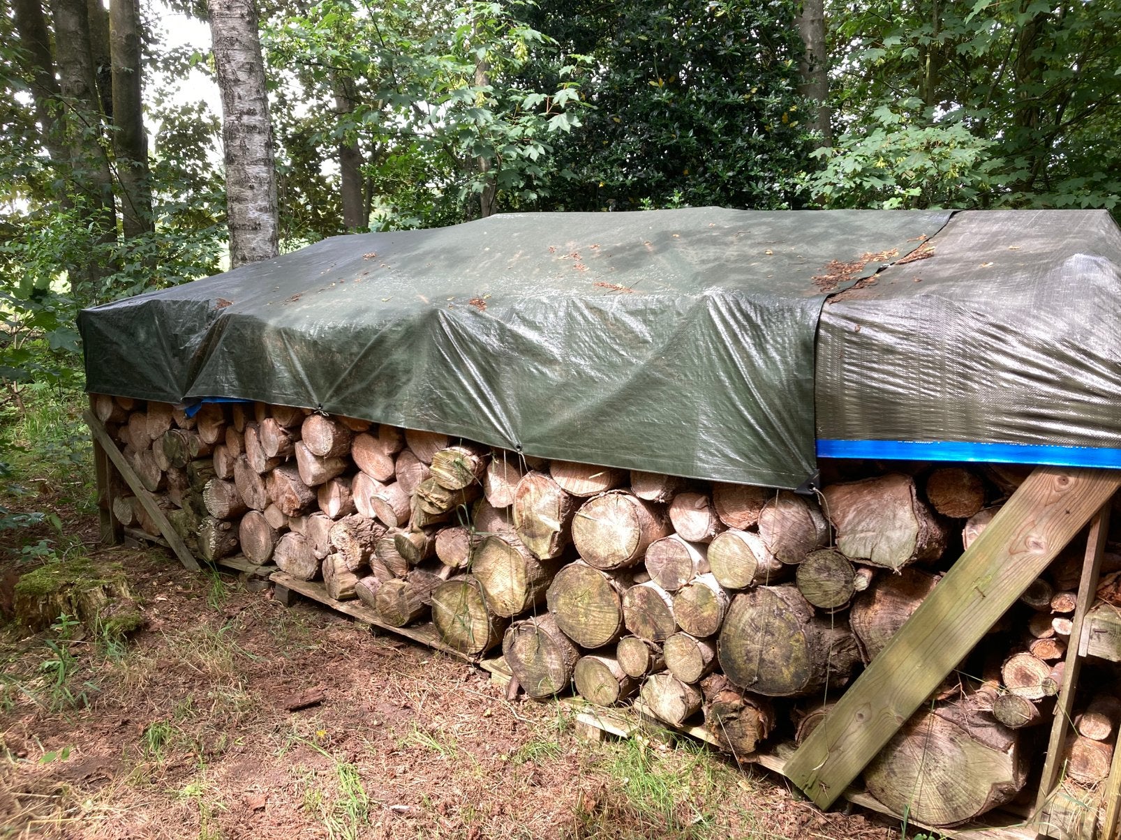 Stookhout dennehout blokken, Tuin en Terras, Brandhout, Ophalen, Blokken