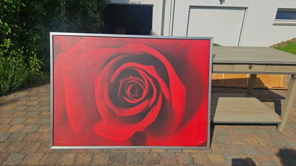 canvas met afbeelding van een roos, Ophalen, Zo goed als nieuw, Ingelijst, Decoratieobject