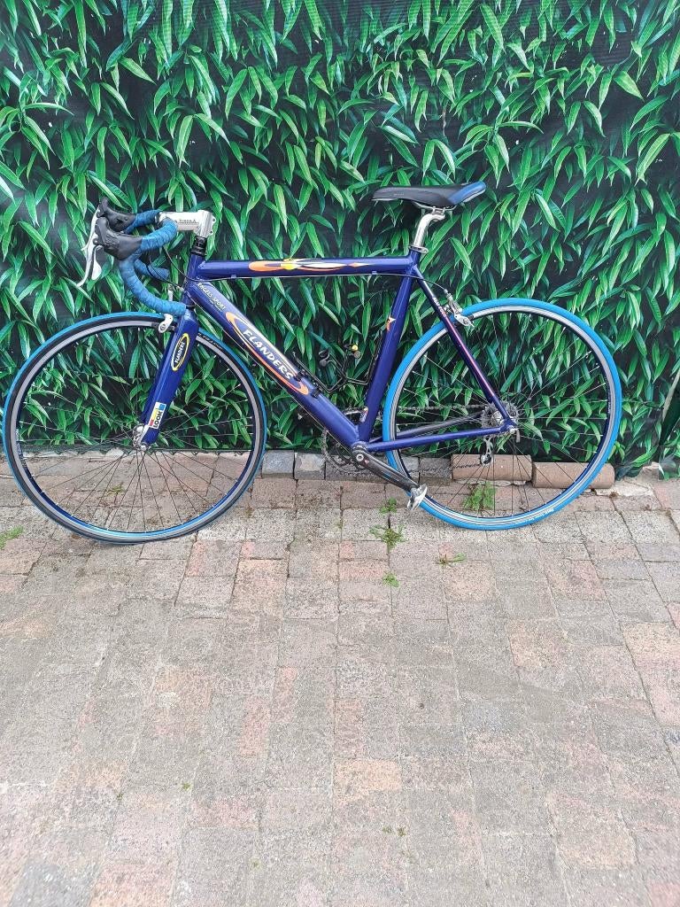 Koersfiets Flanders – rijklaar – maat L of 56, Fietsen en Brommers, 53 tot 57 cm, Ophalen, Gebruikt, Overige merken