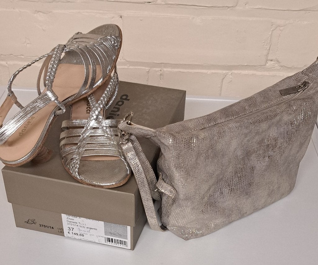 schoenen + bijpassende handtas zilver/goud, Kleding | Dames, Overige Dameskleding, Daniele Tucci, Ophalen, Zo goed als nieuw