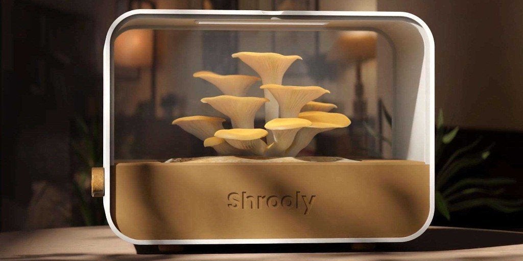 Shrooly – Cultivateur de champignons intelligent, Articles professionnels, Agriculture | Outils, Enlèvement, Protection des cultures et Fertilisation