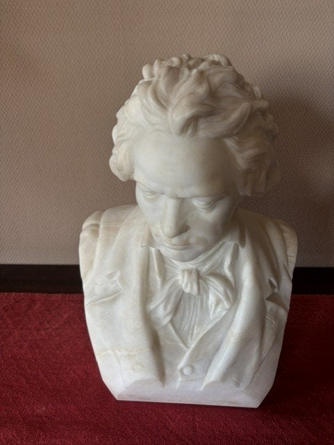 Buste Ludwig van Beethoven, Antiek en Kunst, Ophalen, Buste, Handgemaakt, 20 - 50 cm