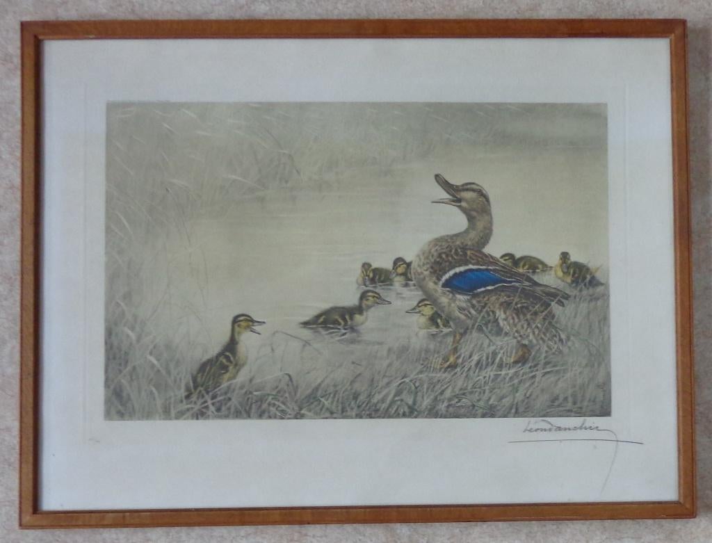 LEON DANCHIN / EEND MET KUIKENS / KLEURETS / 57x75cm KADER, Enlèvement