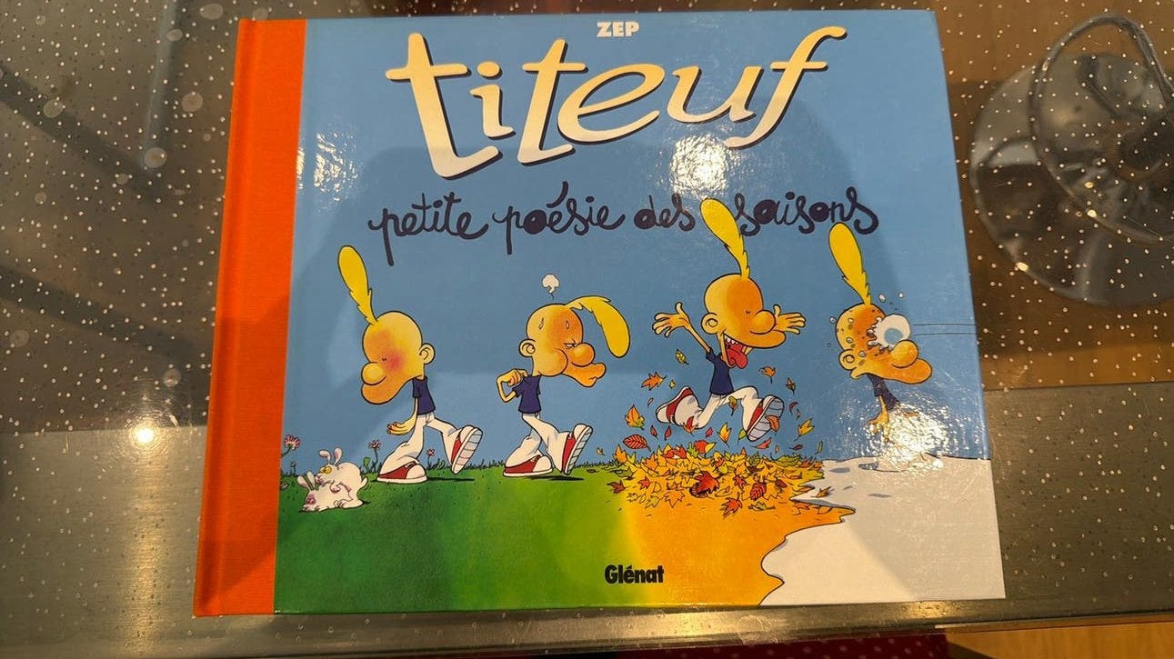 Titeuf–Petite poésie des saisons + Le sens de la vie, Livres, Enlèvement, Comme neuf