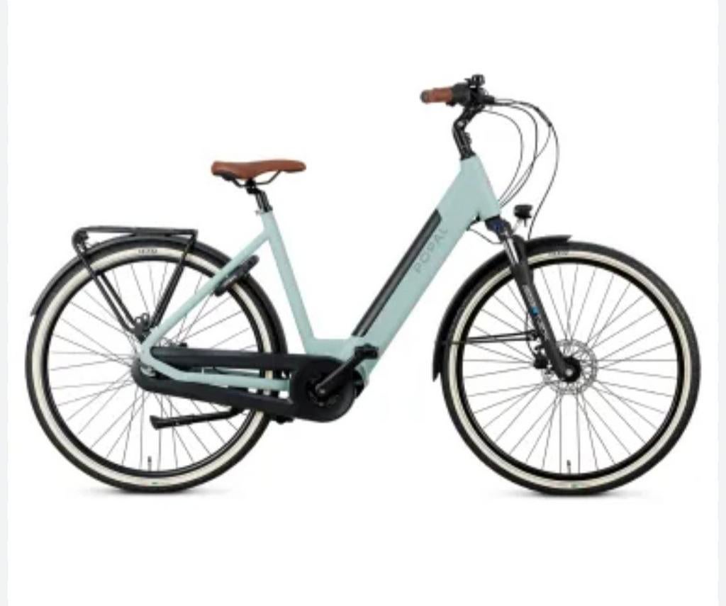 Efiets popal novel mineral green 47cm, Fietsen en Brommers, Elektrische fietsen, Ophalen