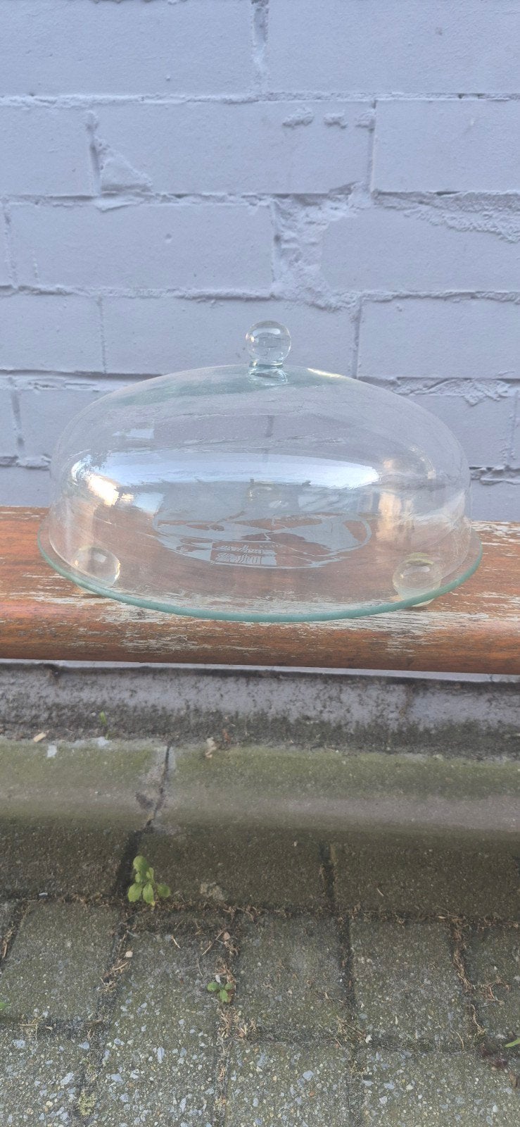 Glazen serveerplaat met stolp, Ophalen, Met deksel, Zo goed als nieuw, 33 cm