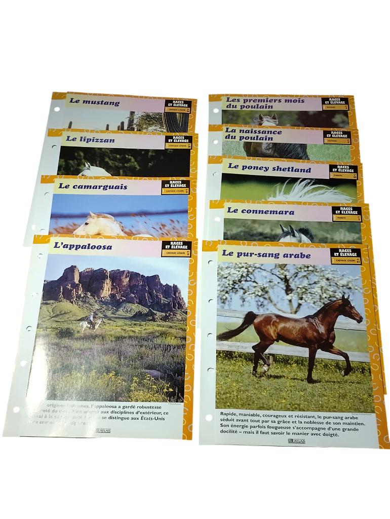 60 fiches Equitation la passion du cheval Atlas vintage, Enlèvement