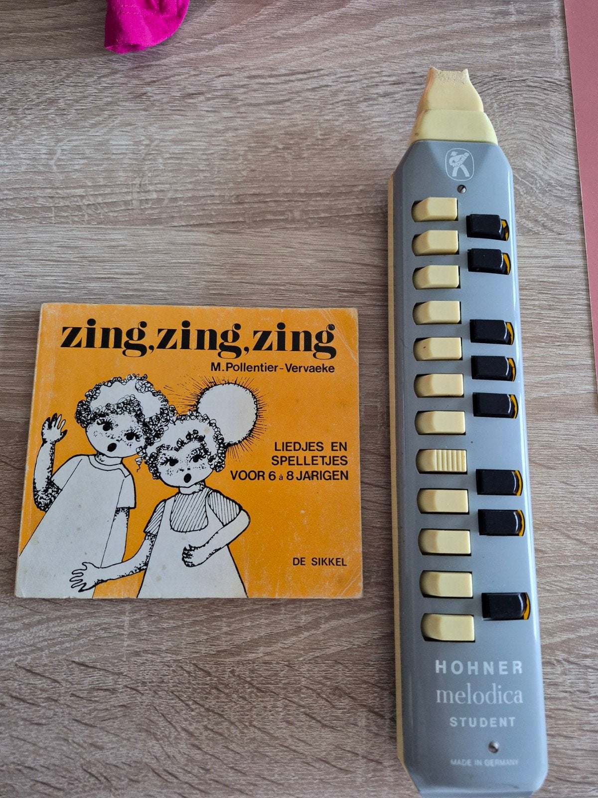 Hohner melodica student, Muziek en Instrumenten, Blaasinstrumenten | Blokfluiten, Ophalen of Verzenden