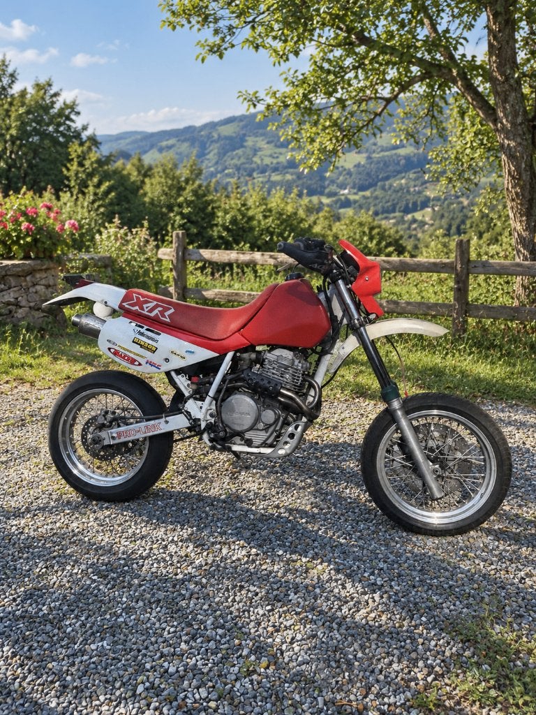 Honda XR 600 motorfiets met 630 hrc-kit (supermotard), Motoren, Particulier